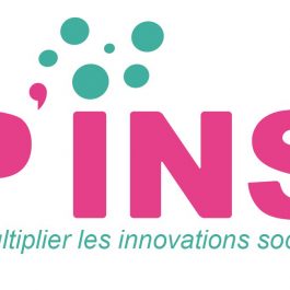 Programme P’INS Programme P’INS